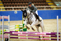 2) Horseland Midland 75cm AM5