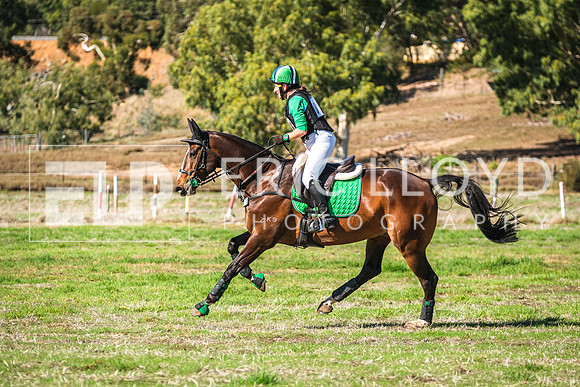 DSCF1694