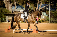 Dressage