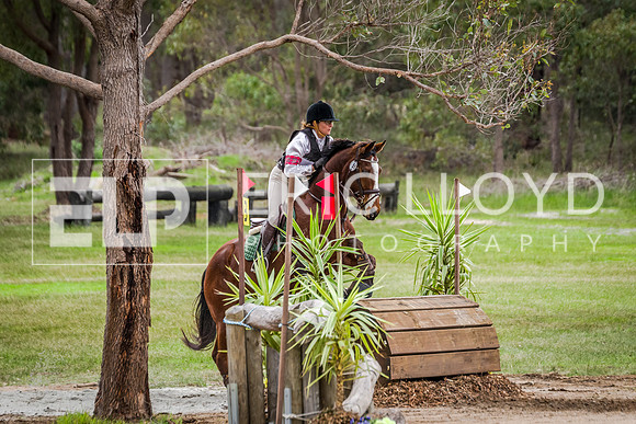 untitled-3823
