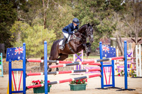 Showjumping 1 Star