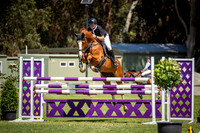 7. JWA and EC Solutions Silver Series 1.30m