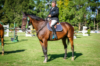 DSCF0949