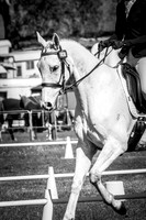 Dressage EvA95A