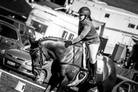 Dressage EvAJ80