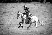 untitled-1127