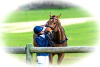 Some Monday Trot ups and Odd Shots