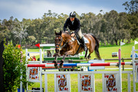 Show jumping
