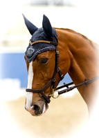2nd Chestnut