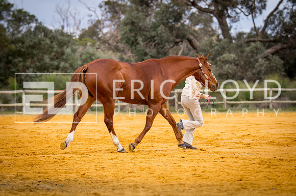 untitled-0626