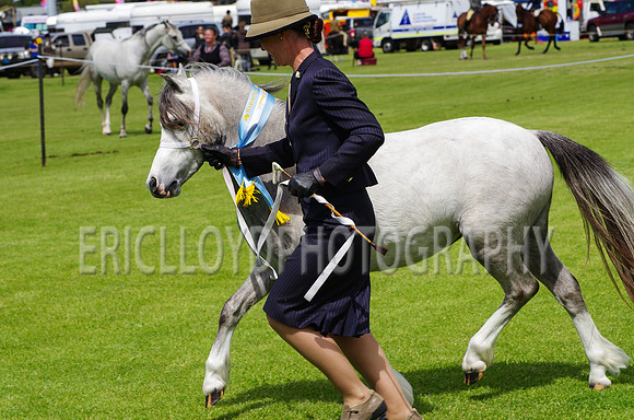 Jess-2959