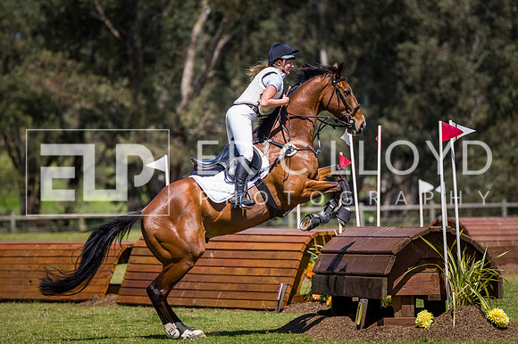 ROYL1082