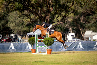 IMGP4872