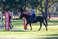 Pole Work and Jumping