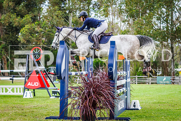 IMGP4463