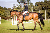 1. Dark Selections 60cm Optimum Time
