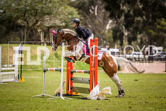 PatronsCup-2095