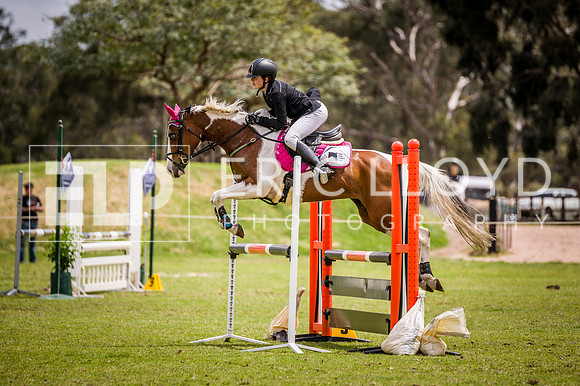 PatronsCup-2096