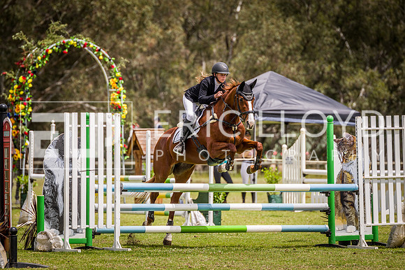 PatronsCup-2102