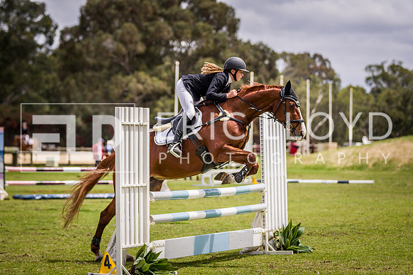 PatronsCup-2105