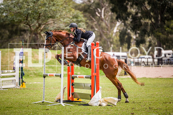 PatronsCup-2108