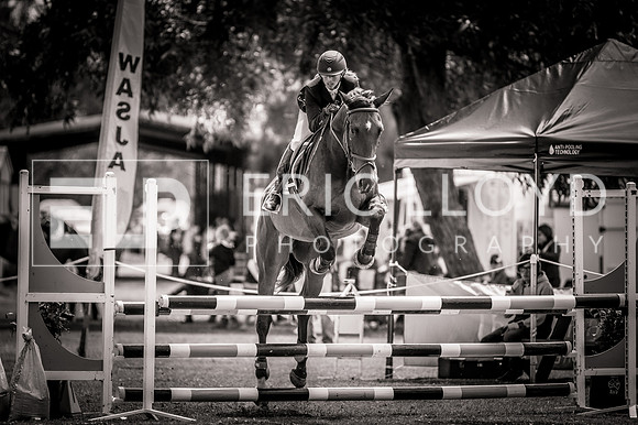 PatronsCup-2159