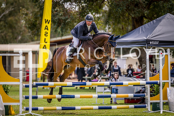 PatronsCup-2168