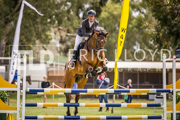 PatronsCup-2193