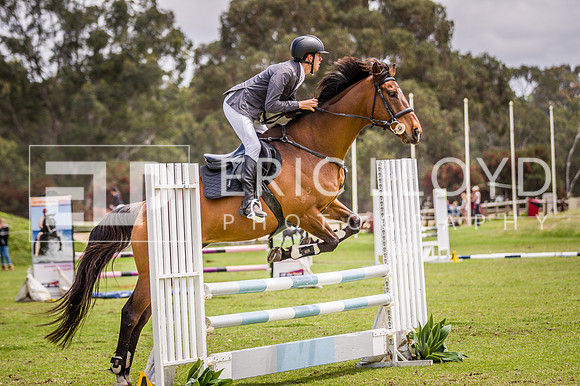 PatronsCup-2206