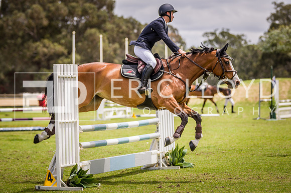 PatronsCup-2229