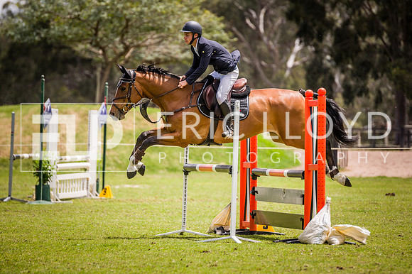 PatronsCup-2233