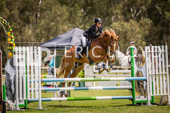 PatronsCup-2243