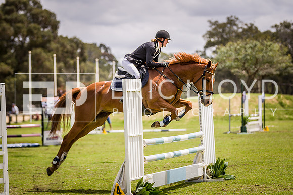 PatronsCup-2244