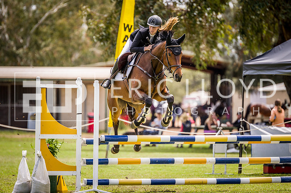 PatronsCup-2250