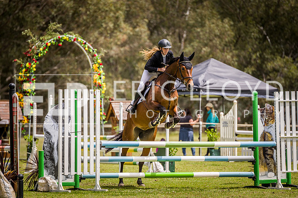 PatronsCup-2252