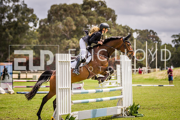 PatronsCup-2255
