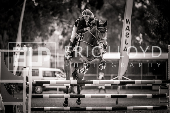 PatronsCup-2261