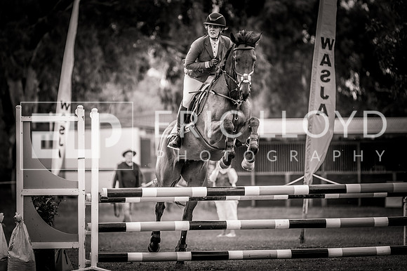 PatronsCup-2320