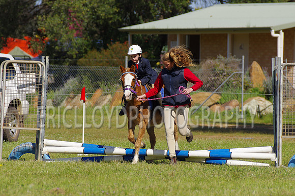 Bev Ag 2014-5162