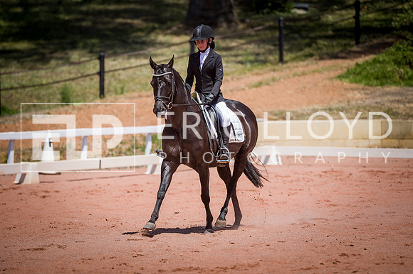 PatronsCup-1250