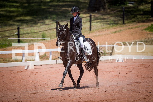 PatronsCup-1252