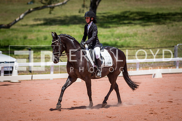 PatronsCup-1258