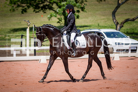 PatronsCup-1261