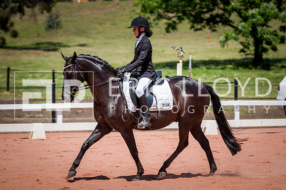 PatronsCup-1265