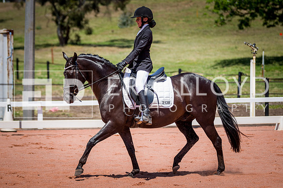 PatronsCup-1267
