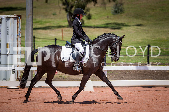 PatronsCup-1273