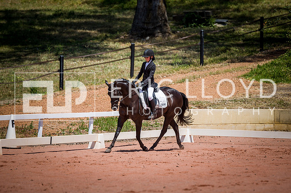 PatronsCup-1277