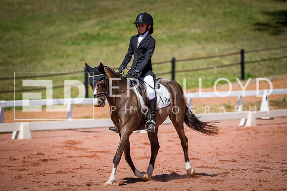 PatronsCup-498