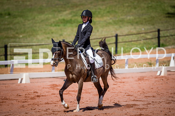 PatronsCup-499