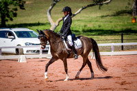 PatronsCup-502
